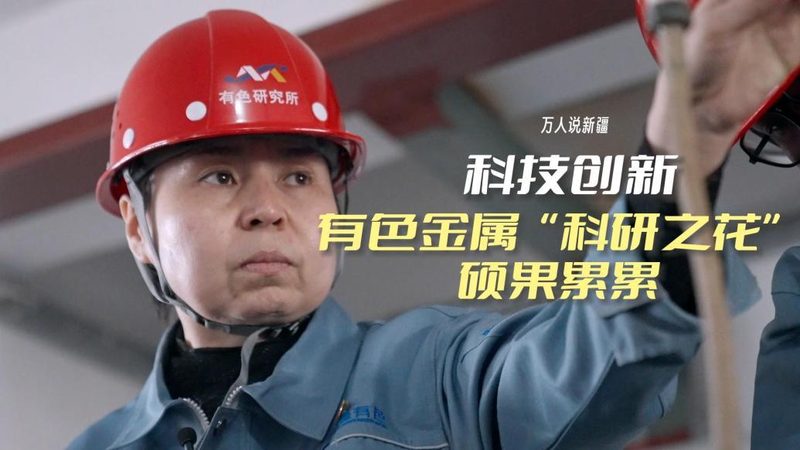北京企业数字化转型的成功案例解析