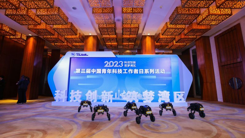 数据服务报价单，揭秘企业选择背后的关键要素